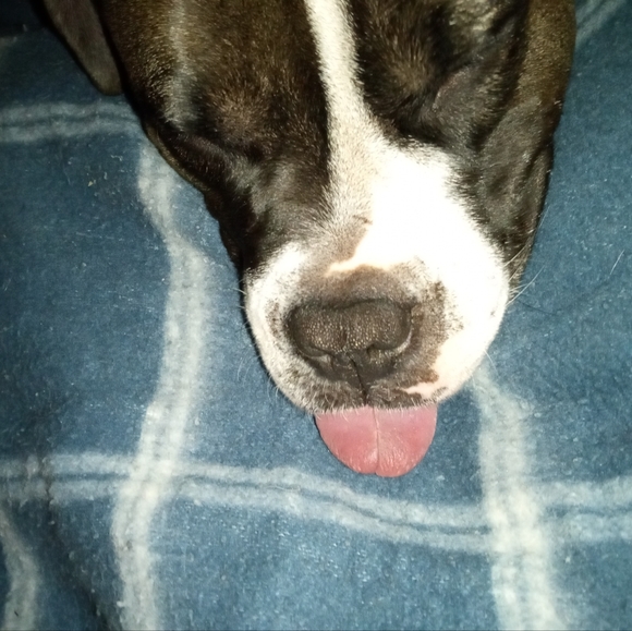 Meet your Posher, Jeff - Picture 3 of 3